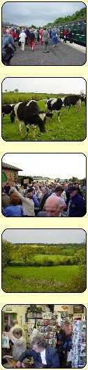 wensleydale images