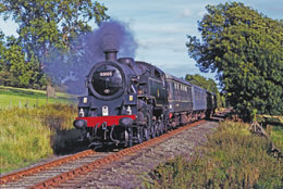 steam train 26005